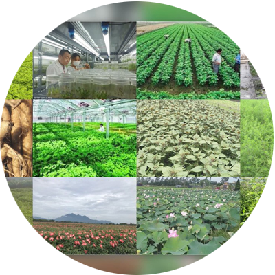 duoc-lieu-san-pham-vnua-pharma