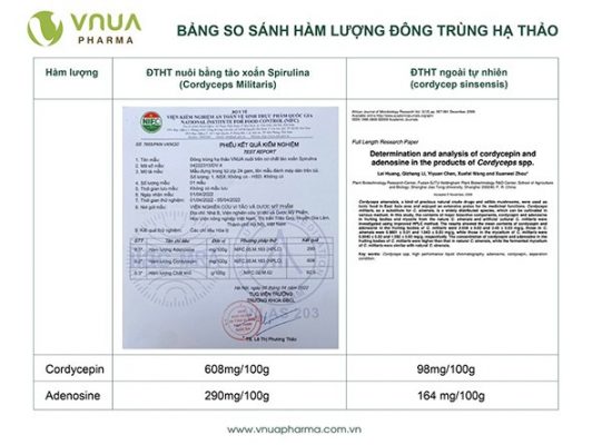 giấy công bố đông trùng hạ thảo Vnua Pharma