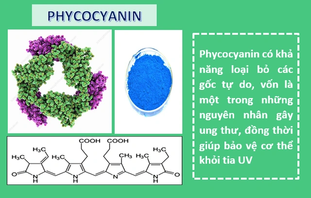 tac-dung-tao-xoan-spirulina-vnua-pharma-3