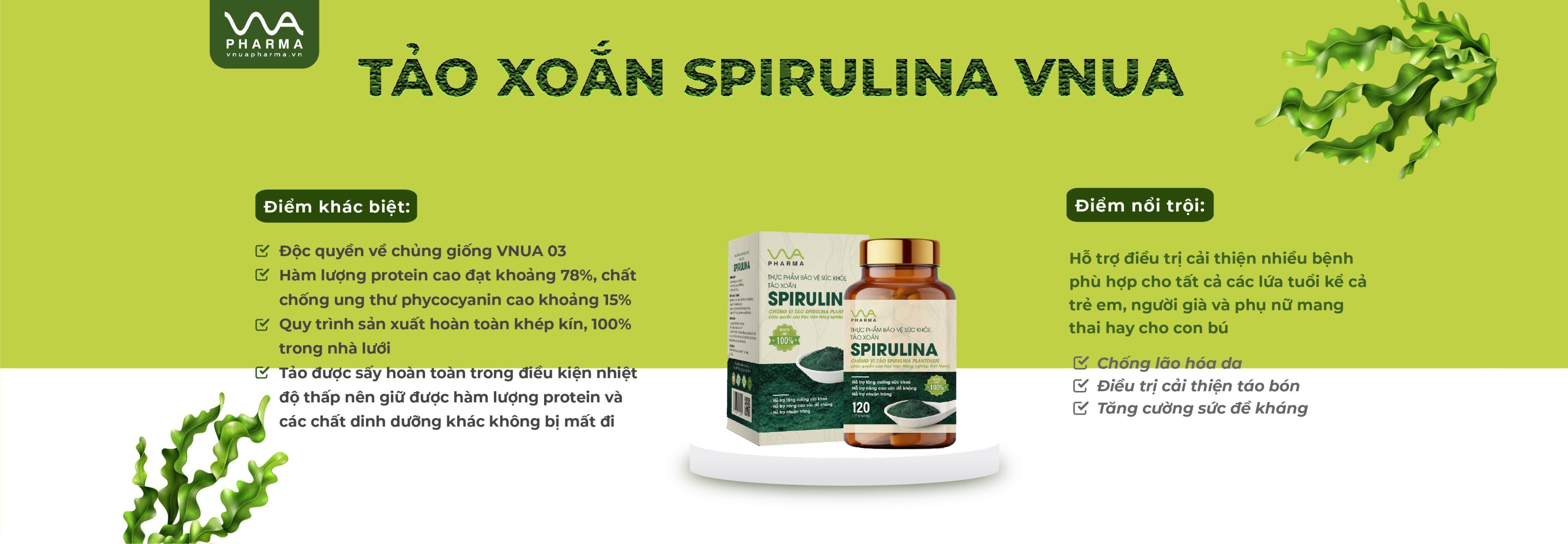 Tảo xoắn Spirulina Vnua