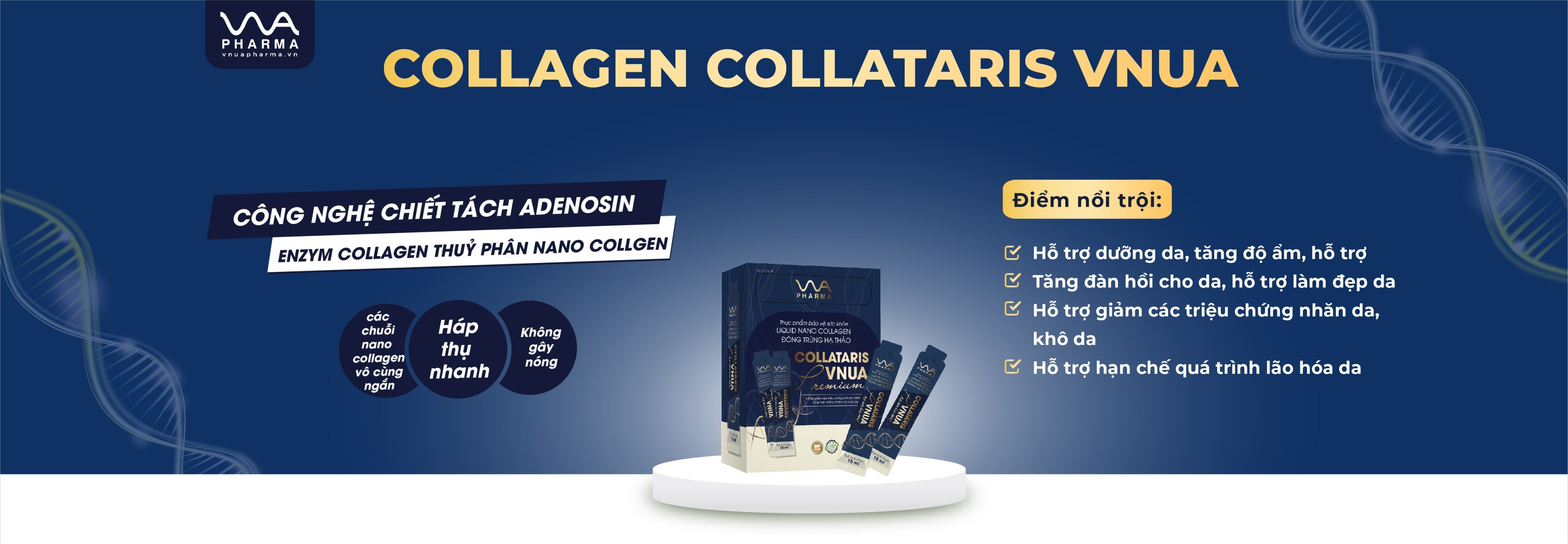 Collagen Collataris Vnua