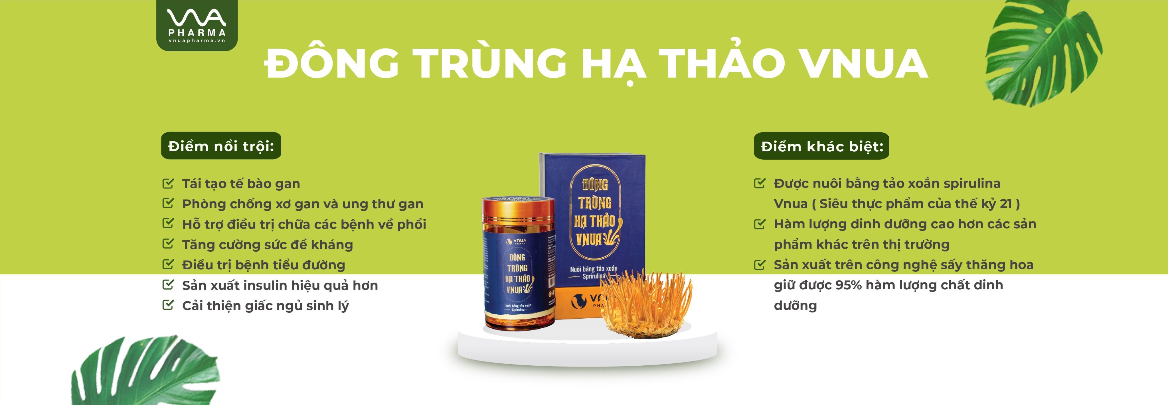 Đông trùng hạ thảo