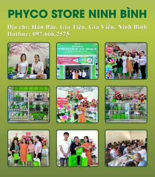 KHAI TRƯƠNG PHYCO STORE NINH BÌNH