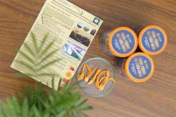 TÁC DỤNG CỦA ĐÔNG TRÙNG HẠ THẢO CHUẨN KHOA HỌC – BÀI 4: Ưu điểm vượt trội của Đông trùng hạ thảo nuôi bằng tảo xoắn Spirulina