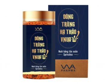 KHÁM PHÁ ra BÍ MẬT tăng cường sức khỏe cùng ĐÔNG TRÙNG HẠ THẢO VNUA