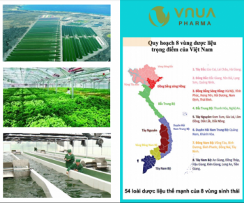 VÙNG DƯỢC LIỆU VNUA PHARMA ĐẠT CHUẨN GACP-WHO